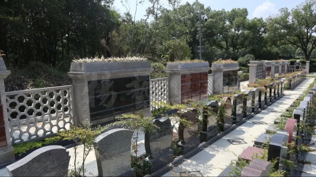 1-23101613155a64 Ê×Ò³ - ·ÆÂɱöÑÇÐǹú¼Ê¹Ù·½ÍøÕ¾