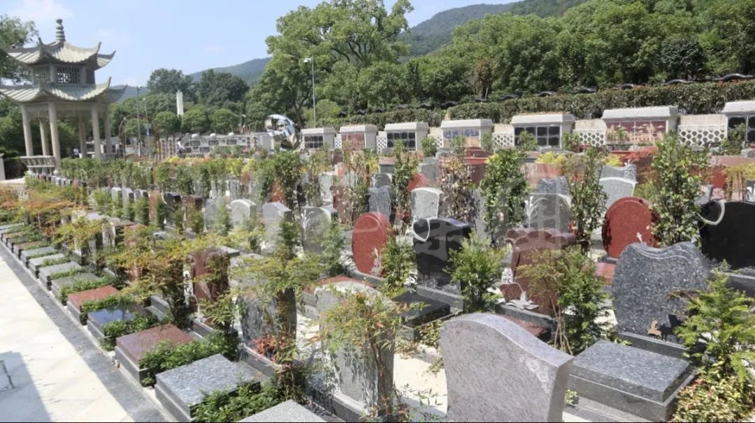 1-23101613210G35 Ê×Ò³ - ·ÆÂɱöÑÇÐǹú¼Ê¹Ù·½ÍøÕ¾