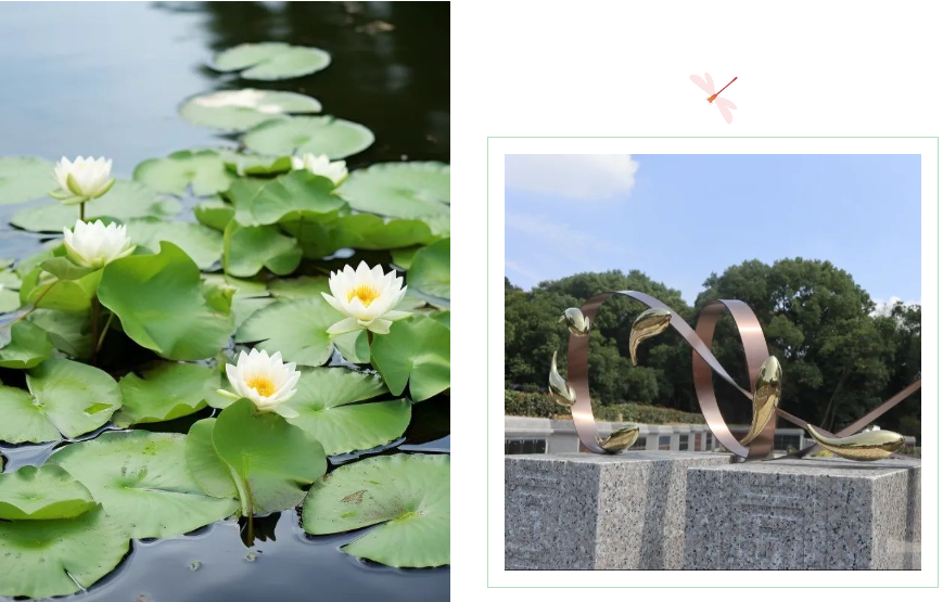 1-231016132440F5 Ê×Ò³ - ·ÆÂɱöÑÇÐǹú¼Ê¹Ù·½ÍøÕ¾