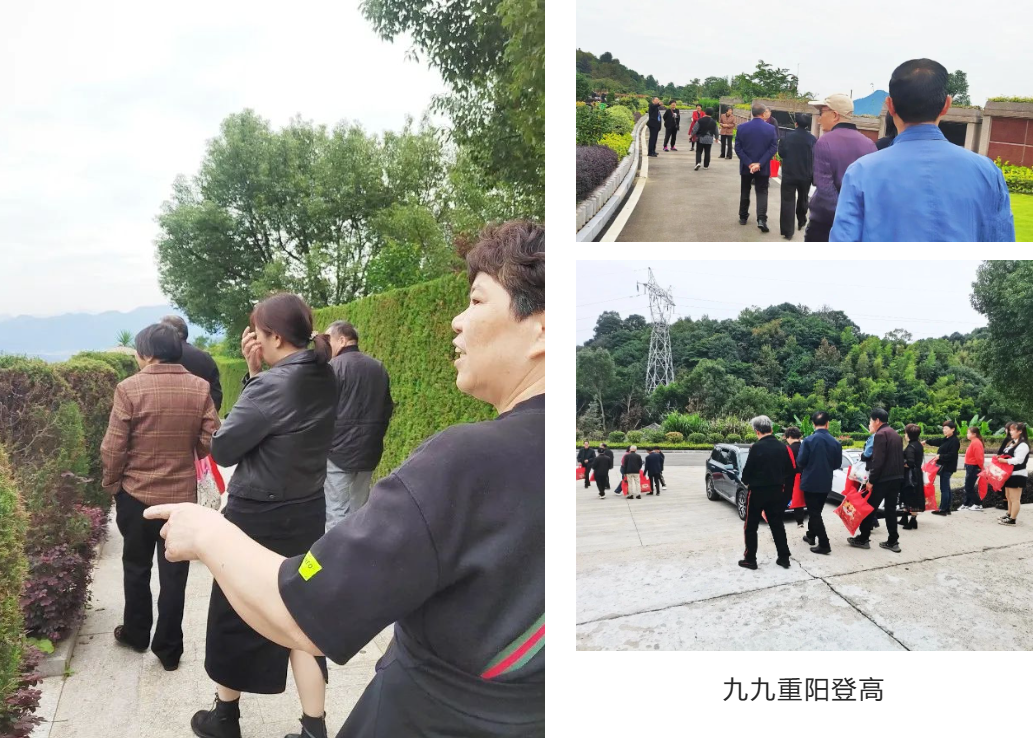 ��ҳ - ���ɱ����ǹ��ʹٷ���վ