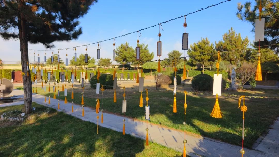 ��ҳ - ���ɱ����ǹ��ʹٷ���վ