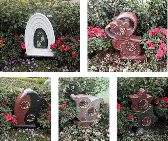 1-231116101534503 首页 - 菲律宾亚星国际官方网站