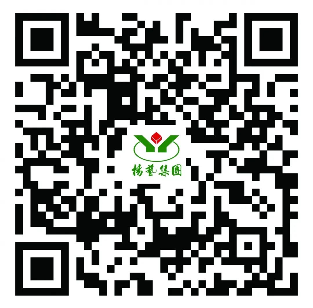 0QZI304-77 0QZI304-77