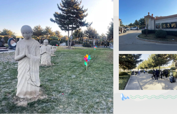 ��ҳ - ���ɱ����ǹ��ʹٷ���վ