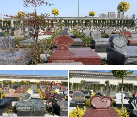 1-23113015522W47 首页 - 菲律宾亚星国际官方网站