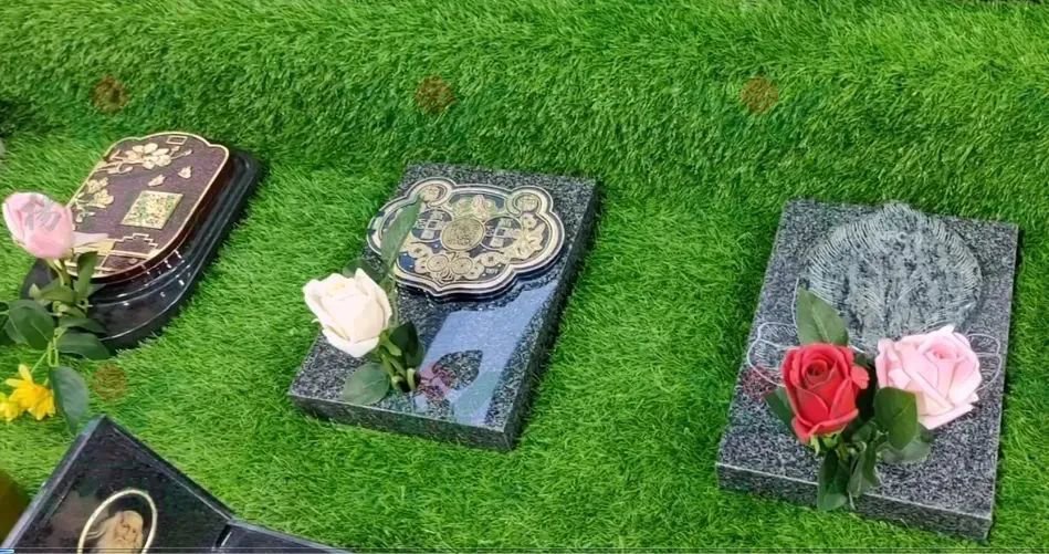 1-23113015545Vb 首页 - 菲律宾亚星国际官方网站