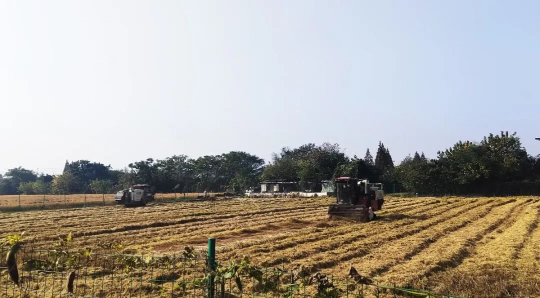 ��ҳ - ���ɱ����ǹ��ʹٷ���վ