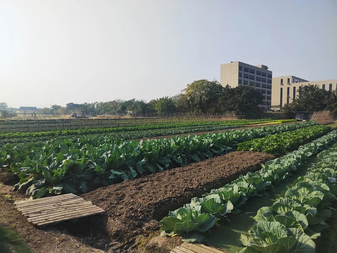 ��ҳ - ���ɱ����ǹ��ʹٷ���վ