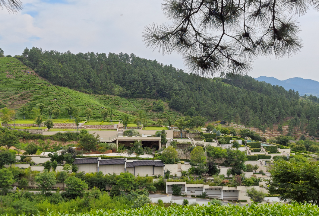 ��ҳ - ���ɱ����ǹ��ʹٷ���վ