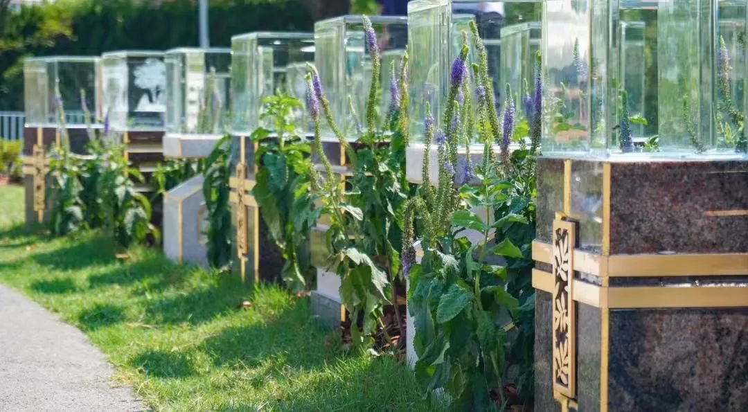 ��ҳ - ���ɱ����ǹ��ʹٷ���վ