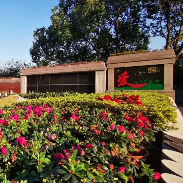 1-231215095004262 Ê×Ò³ - ·ÆÂɱöÑÇÐǹú¼Ê¹Ù·½ÍøÕ¾