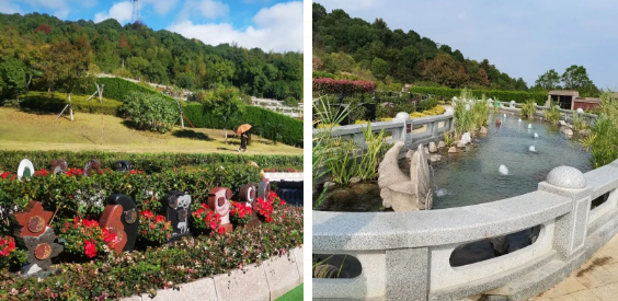 1-231215101G4630 Ê×Ò³ - ·ÆÂɱöÑÇÐǹú¼Ê¹Ù·½ÍøÕ¾