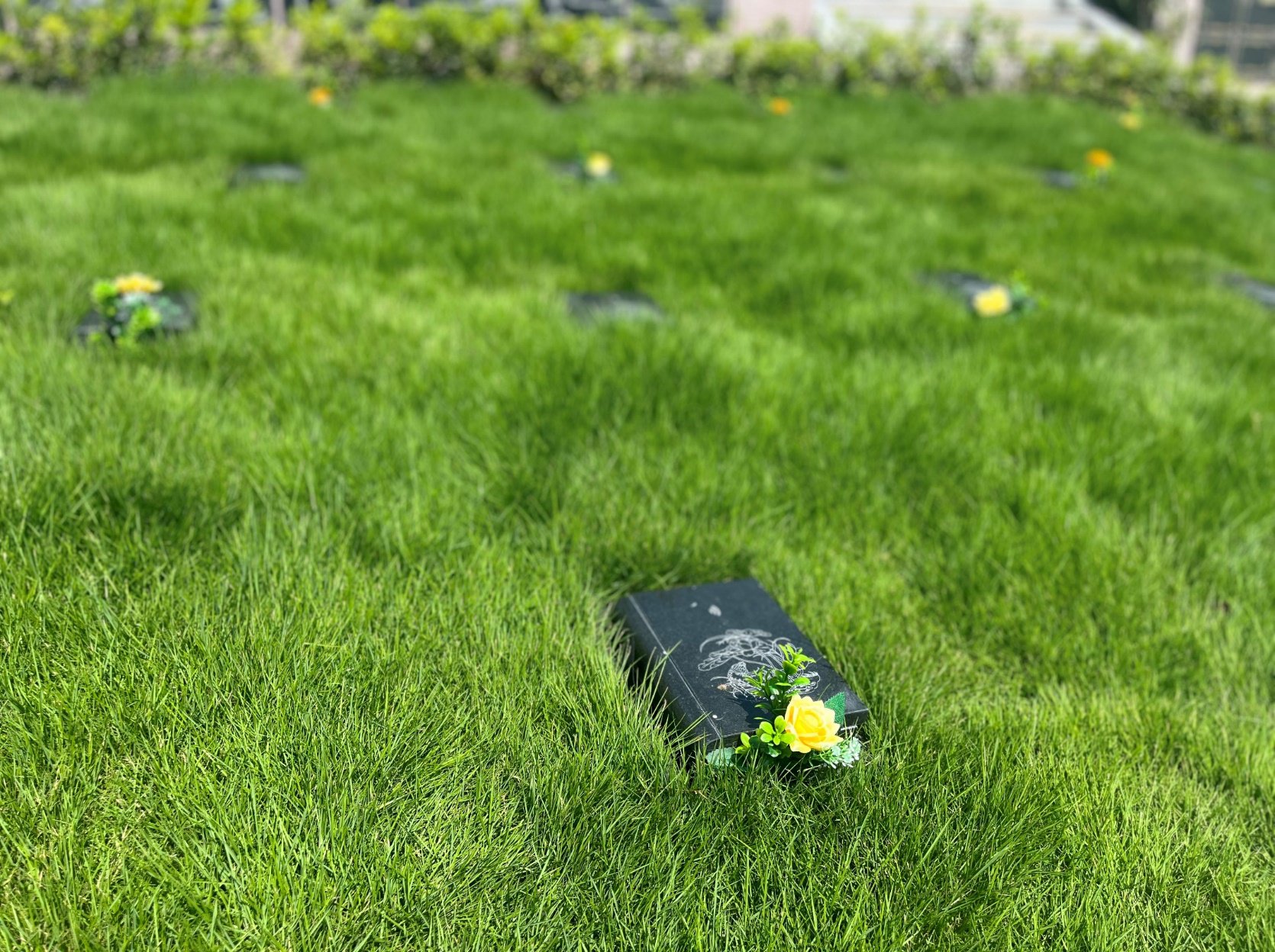 1-2312160TT4396 Ê×Ò³ - ·ÆÂɱöÑÇÐǹú¼Ê¹Ù·½ÍøÕ¾