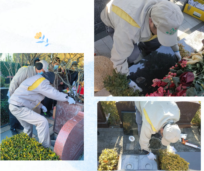 ��ҳ - ���ɱ����ǹ��ʹٷ���վ