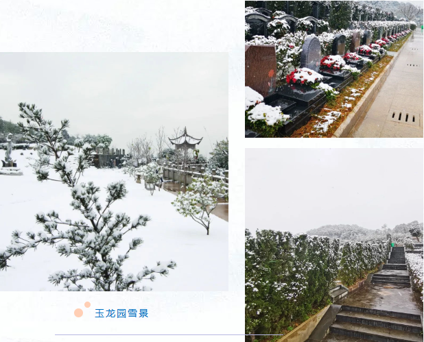 ��ҳ - ���ɱ����ǹ��ʹٷ���վ