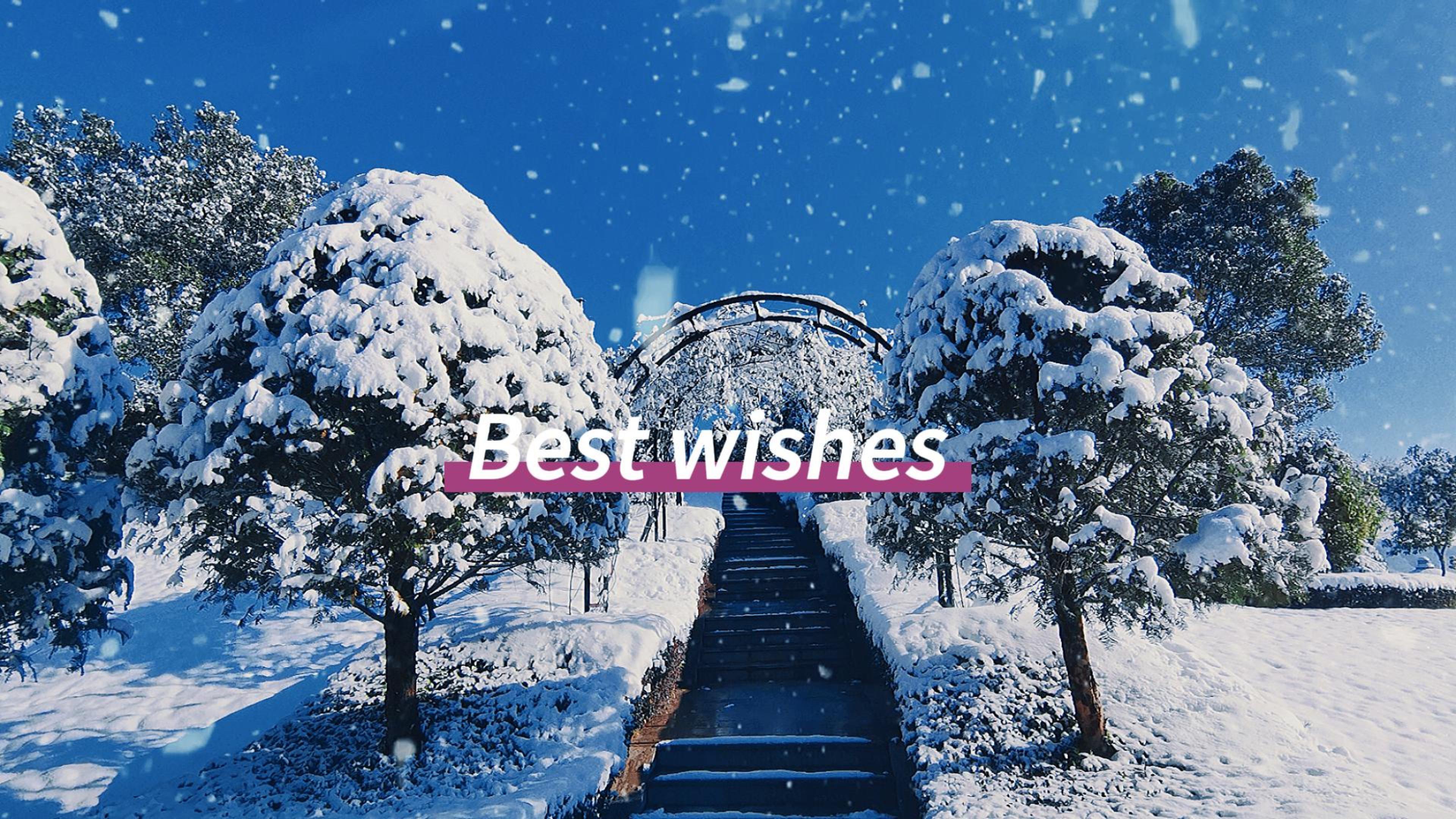 ��ҳ - ���ɱ����ǹ��ʹٷ���վ