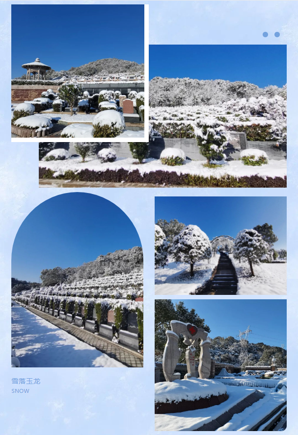 ��ҳ - ���ɱ����ǹ��ʹٷ���վ