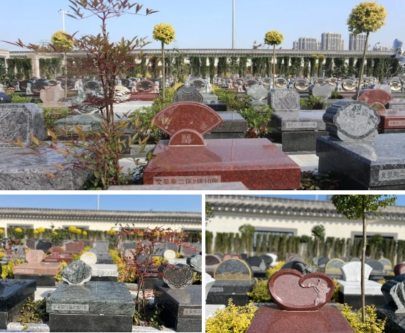 1-240130132532446 Ê×Ò³ - ·ÆÂɱöÑÇÐǹú¼Ê¹Ù·½ÍøÕ¾