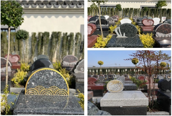 1-24013013260I25 Ê×Ò³ - ·ÆÂɱöÑÇÐǹú¼Ê¹Ù·½ÍøÕ¾