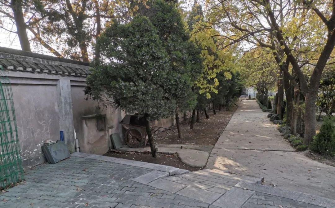 ��ҳ - ���ɱ����ǹ��ʹٷ���վ