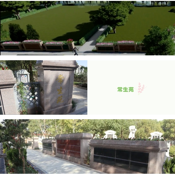 ��ҳ - ���ɱ����ǹ��ʹٷ���վ