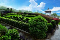 ��Խ��������ɫ����