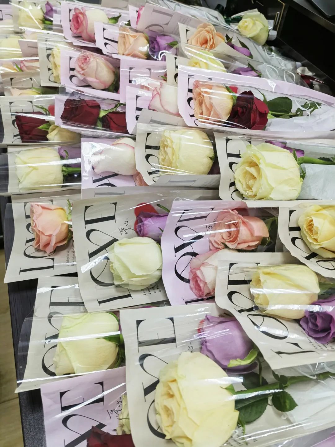 ��ҳ - ���ɱ����ǹ��ʹٷ���վ