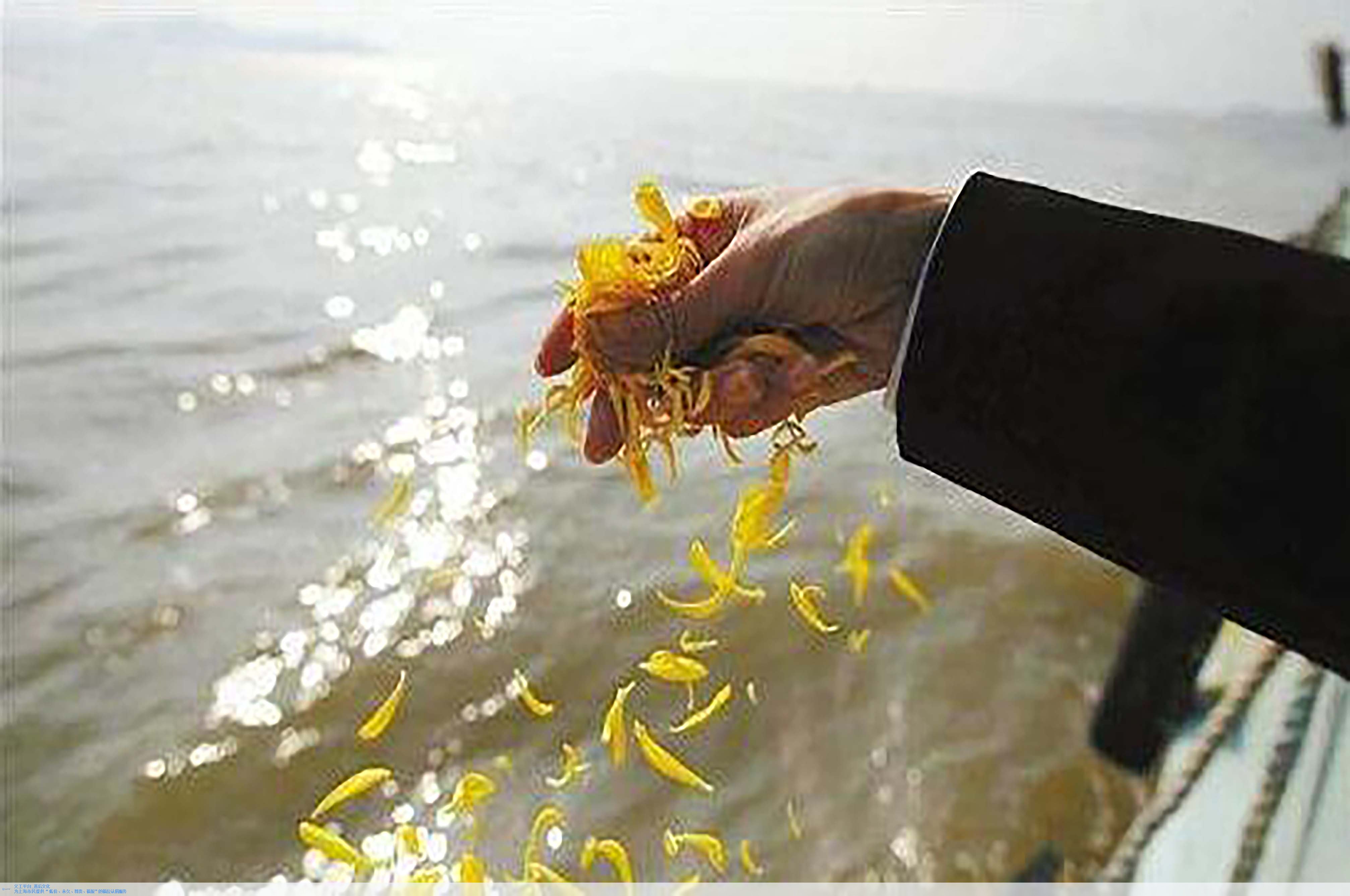 ��ҳ - ���ɱ����ǹ��ʹٷ���վ