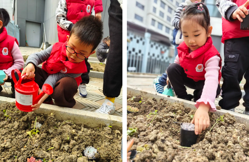 ��ҳ - ���ɱ����ǹ��ʹٷ���վ