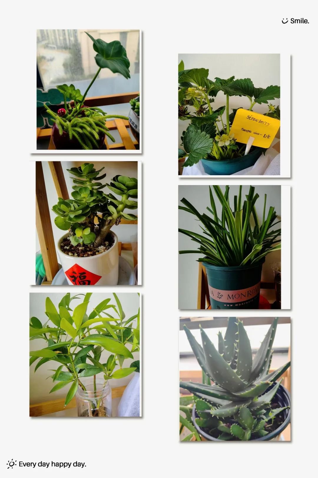 ��ҳ - ���ɱ����ǹ��ʹٷ���վ