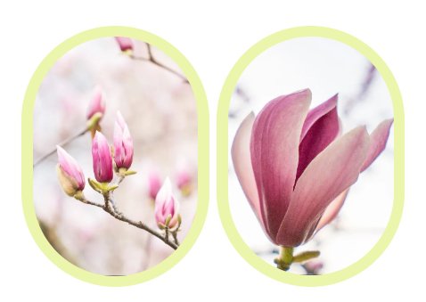 ��ҳ - ���ɱ����ǹ��ʹٷ���վ