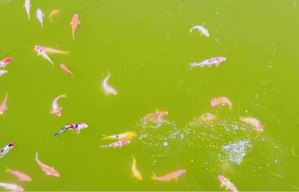 ��ҳ - ���ɱ����ǹ��ʹٷ���վ