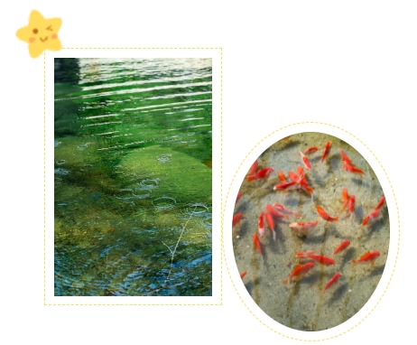 ��ҳ - ���ɱ����ǹ��ʹٷ���վ