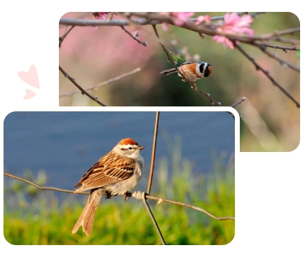 ��ҳ - ���ɱ����ǹ��ʹٷ���վ