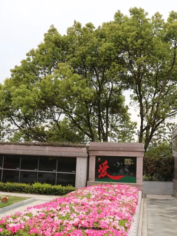 ��ҳ - ���ɱ����ǹ��ʹٷ���վ