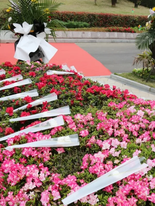 ��ҳ - ���ɱ����ǹ��ʹٷ���վ