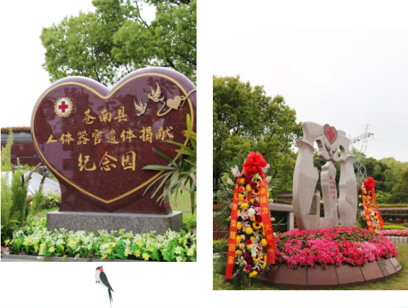 1-2404060951244F 首页 - 菲律宾亚星国际官方网站