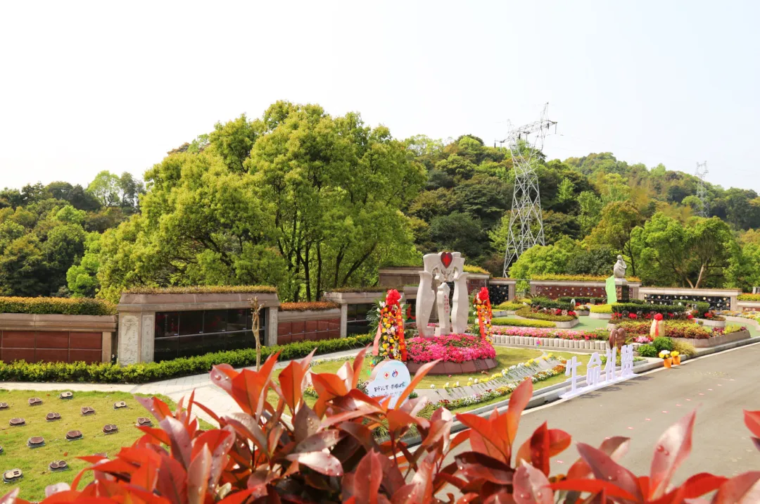 1-240406095259602 首页 - 菲律宾亚星国际官方网站