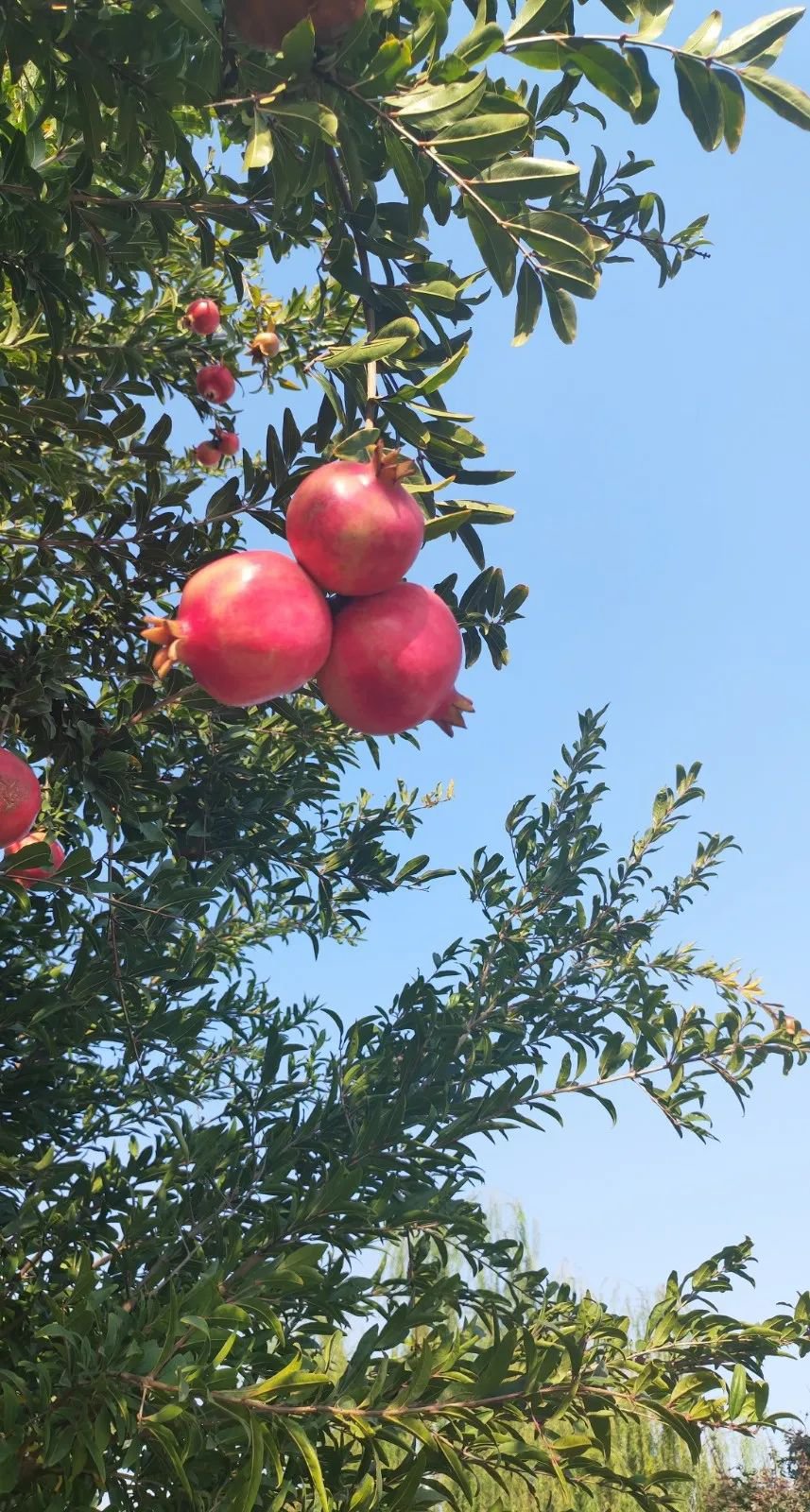 ��ҳ - ���ɱ����ǹ��ʹٷ���վ