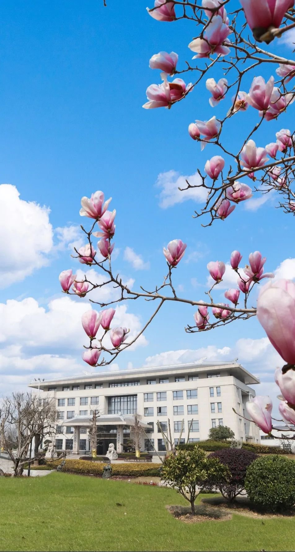 ��ҳ - ���ɱ����ǹ��ʹٷ���վ