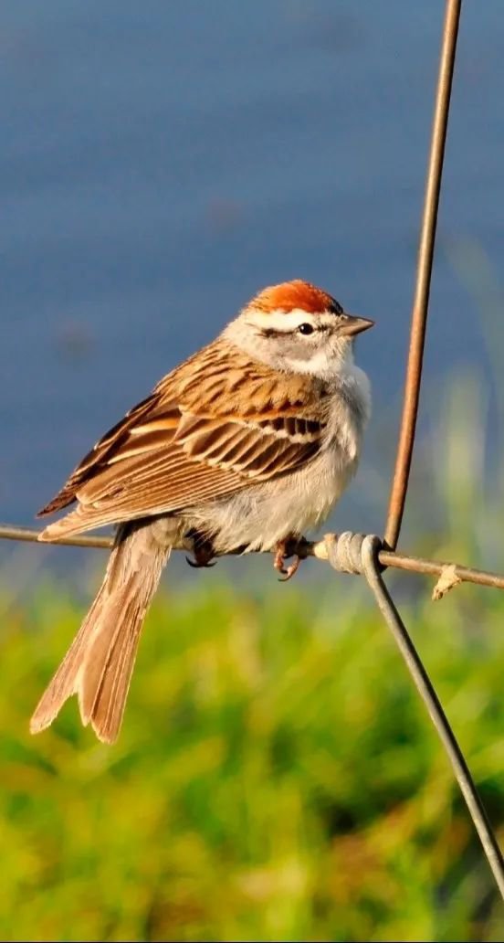 ��ҳ - ���ɱ����ǹ��ʹٷ���վ