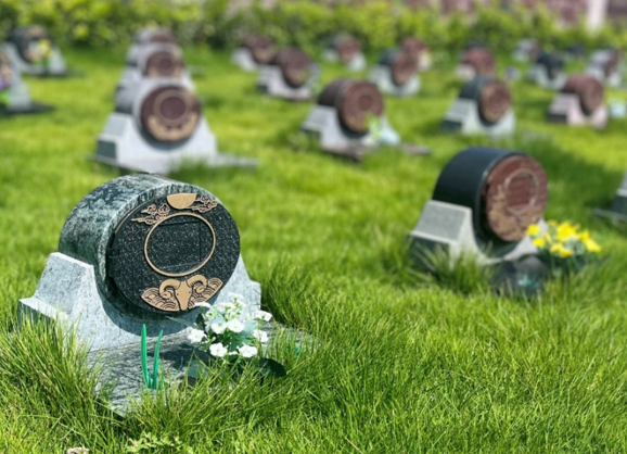 ��ҳ - ���ɱ����ǹ��ʹٷ���վ