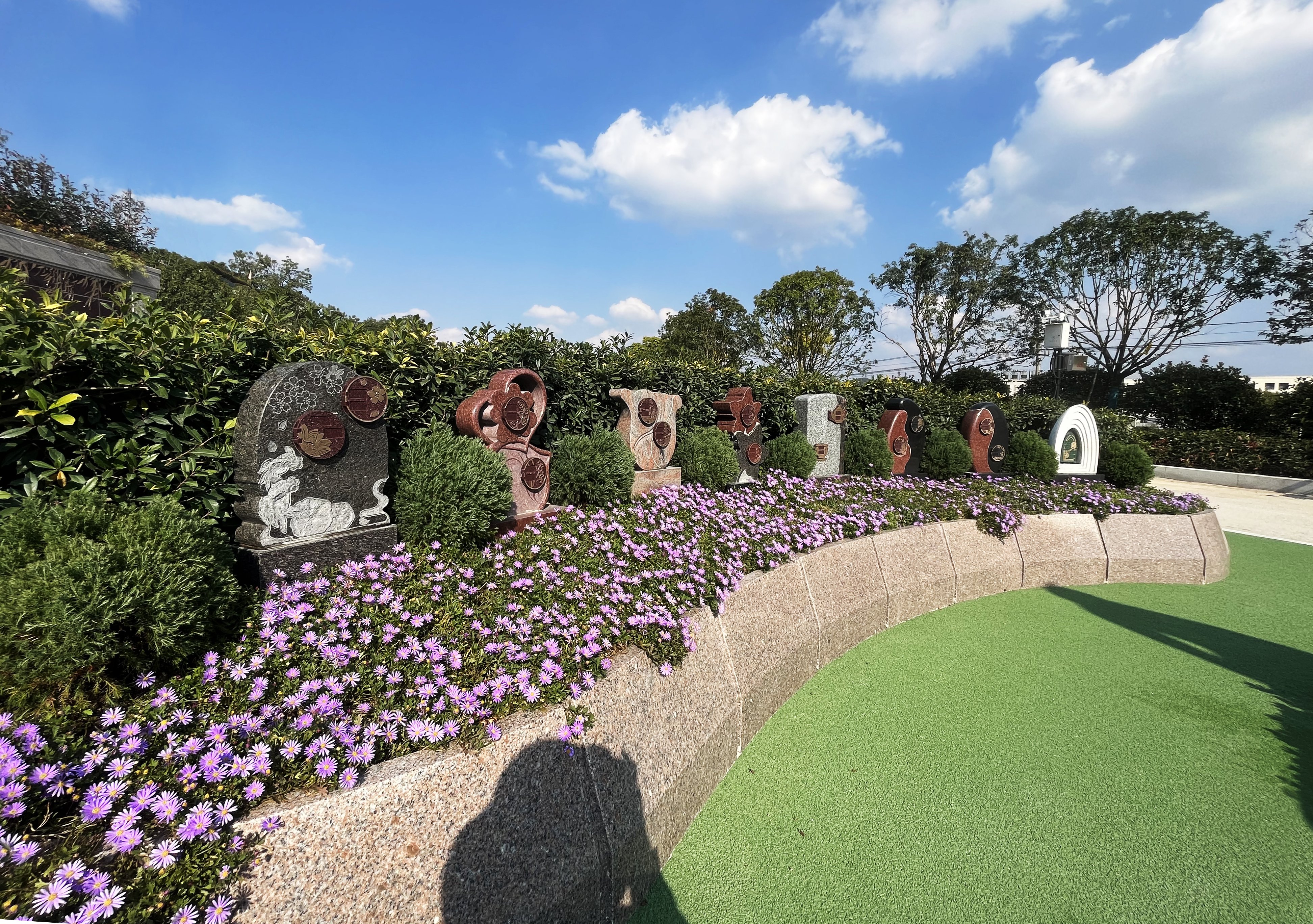 ��ҳ - ���ɱ����ǹ��ʹٷ���վ