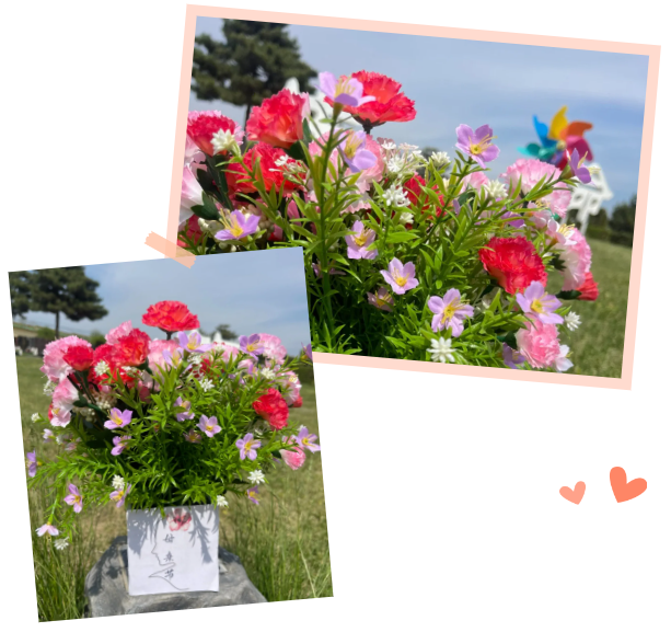 ��ҳ - ���ɱ����ǹ��ʹٷ���վ