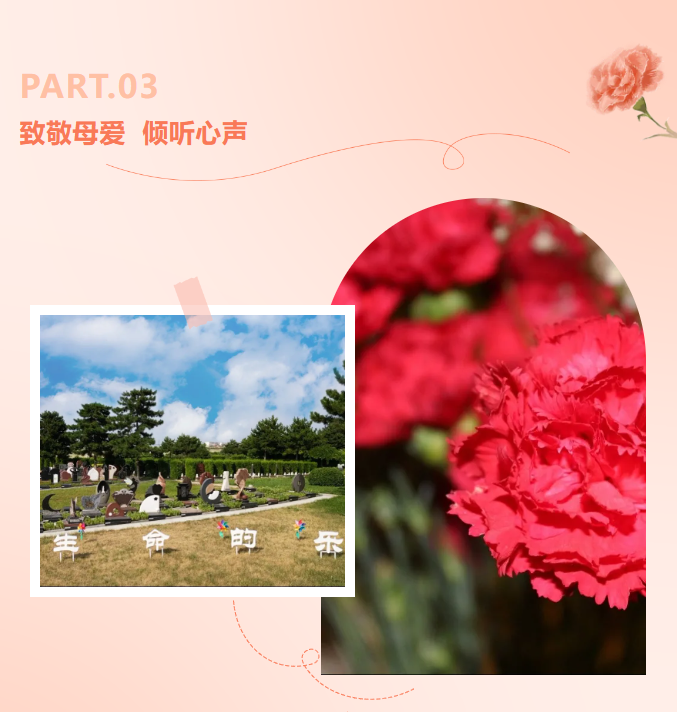 ��ҳ - ���ɱ����ǹ��ʹٷ���վ