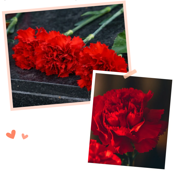 ��ҳ - ���ɱ����ǹ��ʹٷ���վ