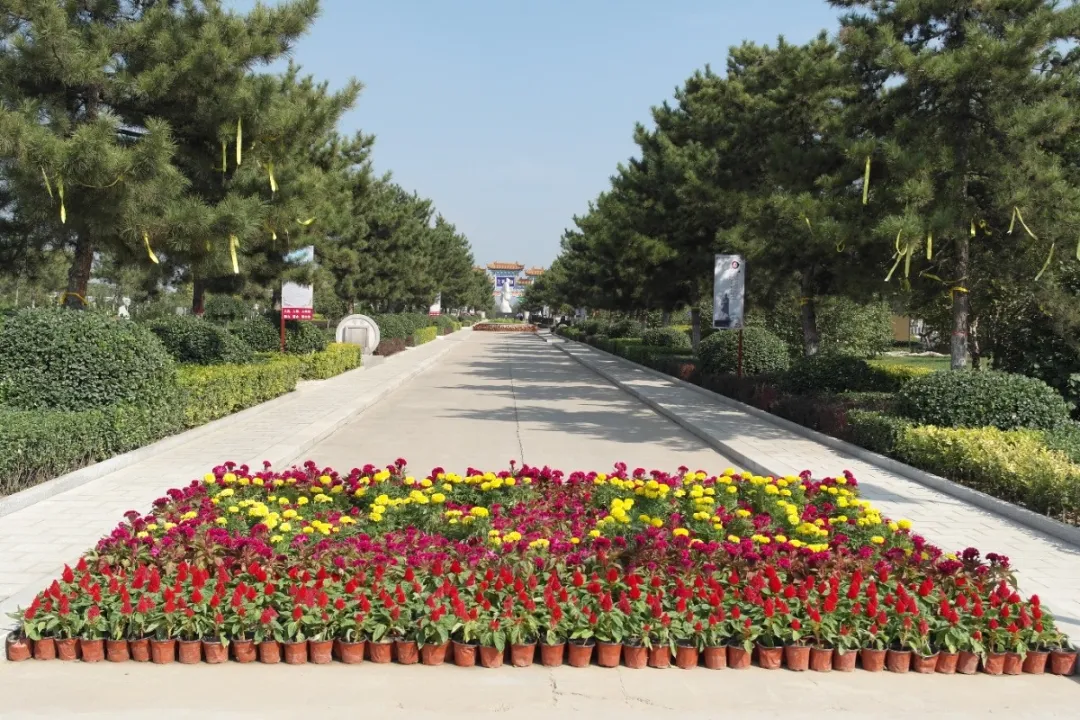 1-240622095T4X9 首页 - 菲律宾亚星国际官方网站