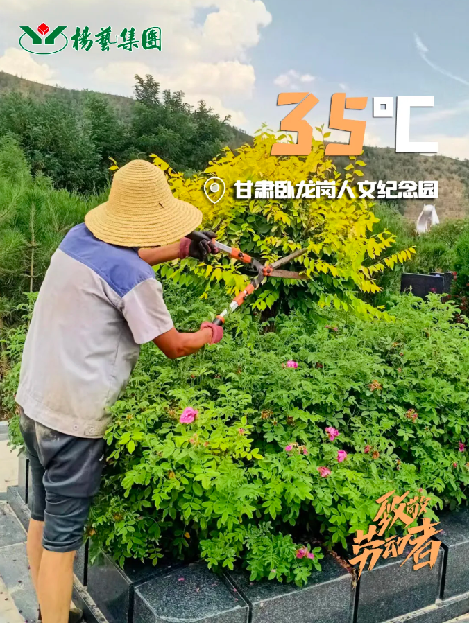 ��ҳ - ���ɱ����ǹ��ʹٷ���վ