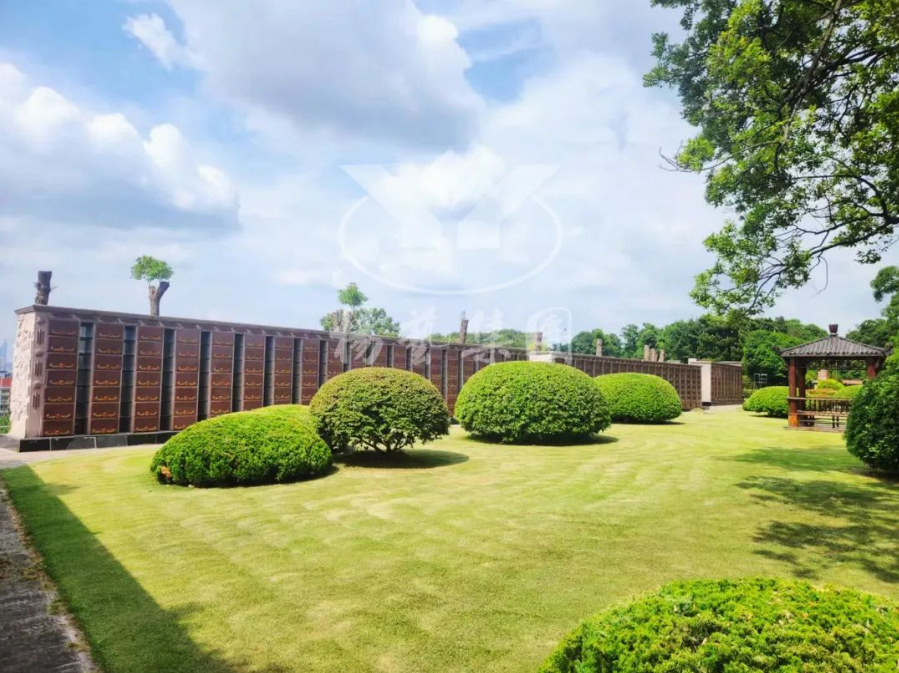 ��ҳ - ���ɱ����ǹ��ʹٷ���վ