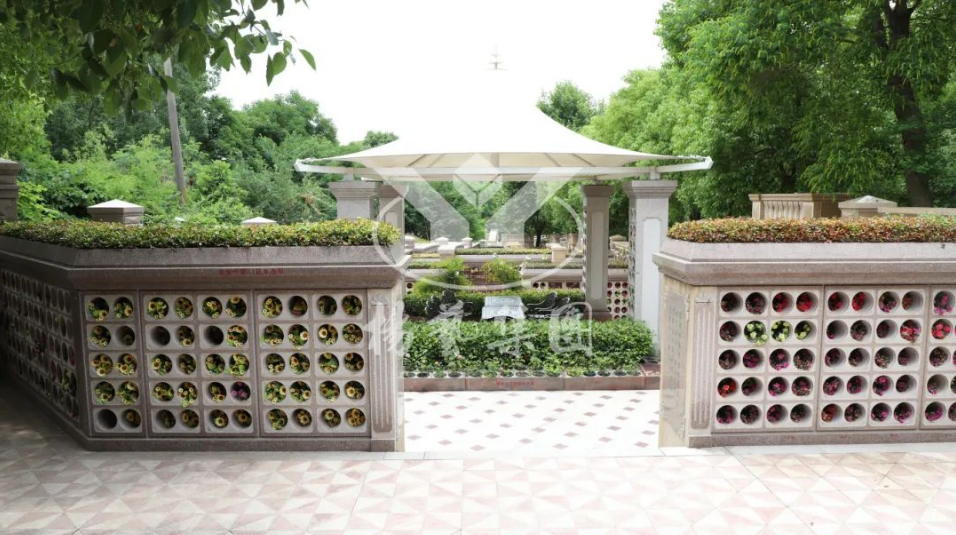 ��ҳ - ���ɱ����ǹ��ʹٷ���վ